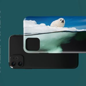 Underwater and surface -2