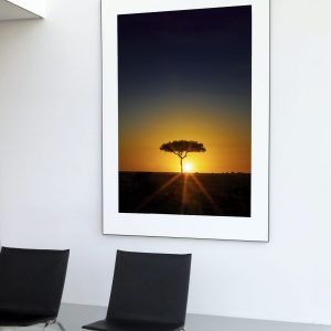 Fotografías – Puesta de sol a contraluz de los árboles de la pradera