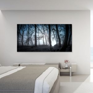 fotográficos – bosque oscuro brumoso panorama fantasía