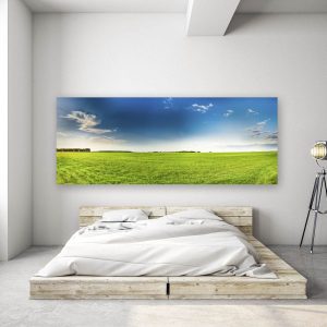 Fotografía – Campo rural o paisaje de prado con hierba verde bajo el cielo azul de primavera escénica