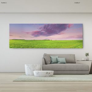 Fotografía – Campo Rural Campo o Pradera Paisaje Con Hierba Verde Bajo Primavera Escénica