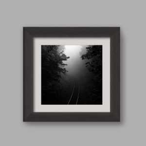 inmovilizado por la niebla