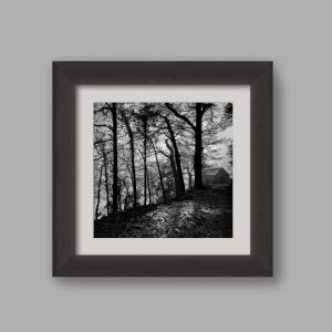 el escondite bosque