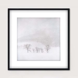 tormenta de nieve de montaña – formas de japón