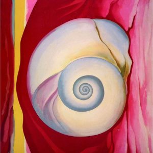 Shell on Red Georgia O Keeffe