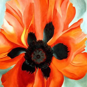 Red Poppy Georgia O Keeffe